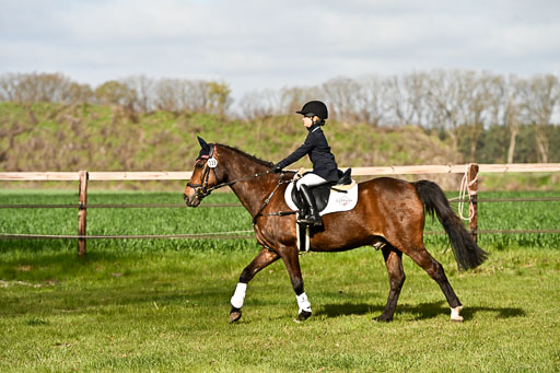  | Springreiter WB _151 