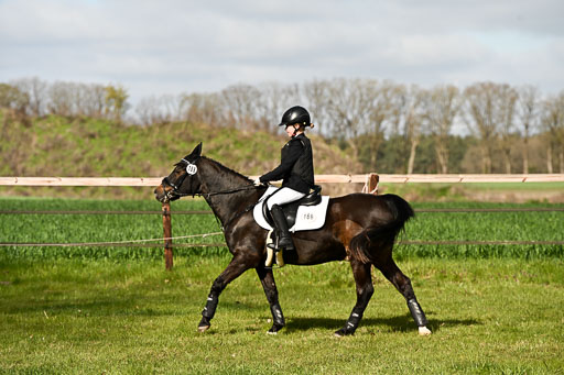 | Springreiter WB _152 