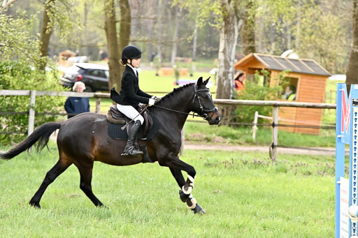  | Springreiter WB _162 