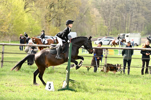  | Springreiter WB _163 
