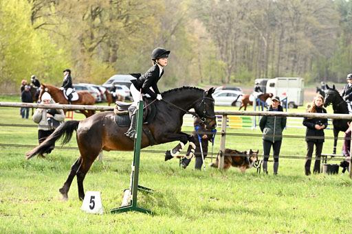  | Springreiter WB _164 