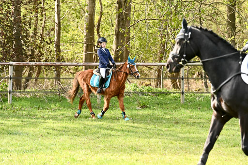  | Springreiter WB _170 