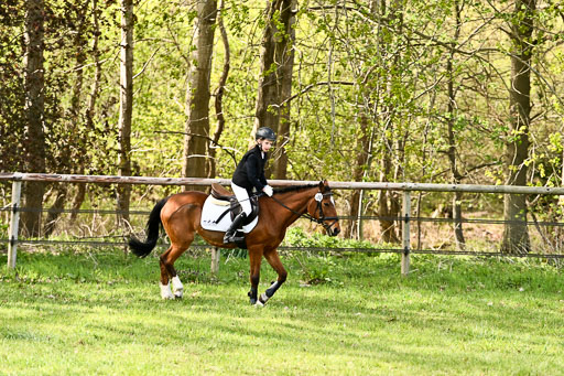  | Springreiter WB _174 