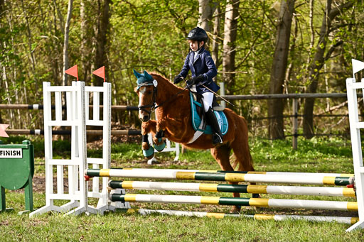  | Springreiter WB _187 