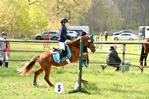  | Springreiter WB _188 
