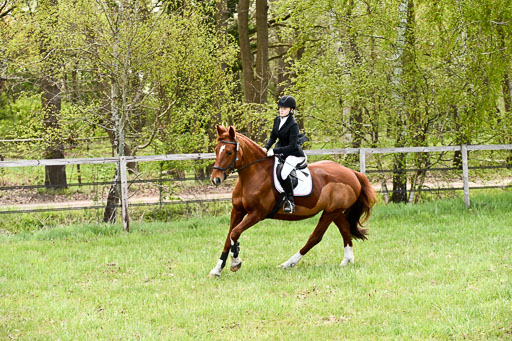  | Springreiter WB _200 