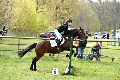  | Springreiter WB _204 