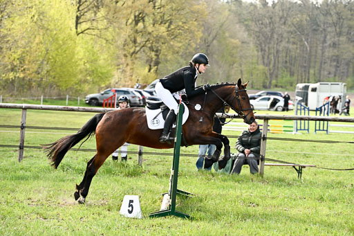  | Springreiter WB _205 