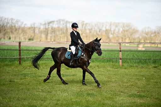  | Springreiter WB _218 
