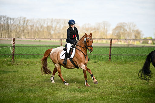  | Springreiter WB _219 