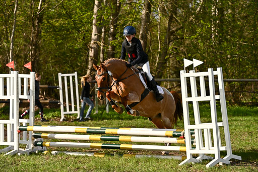  | Springreiter WB _221 