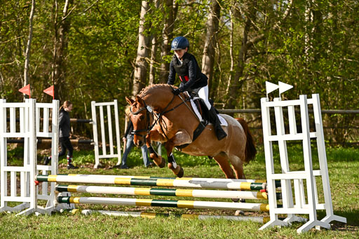  | Springreiter WB _222 