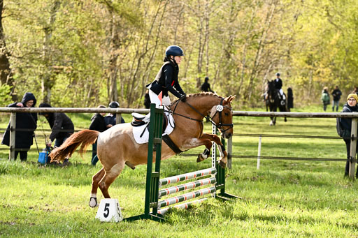  | Springreiter WB _223 
