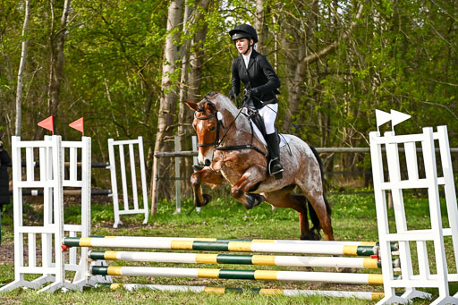  | Springreiter WB _225 