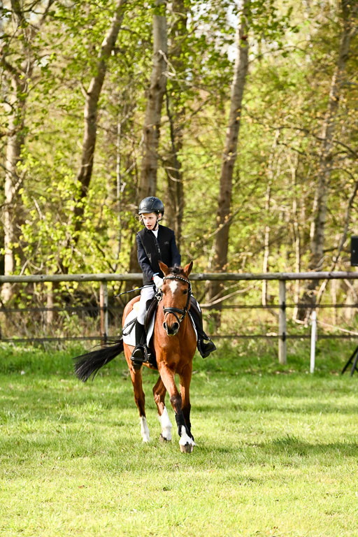  | Springreiter WB _230 