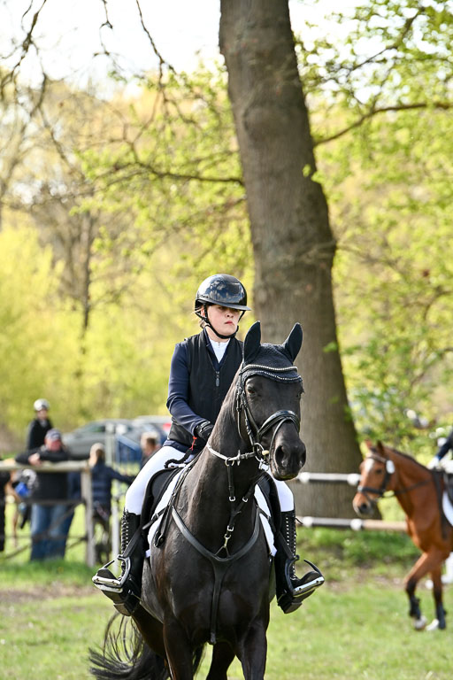  | Springreiter WB _234 