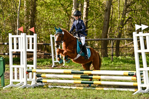  | Springreiter WB _242 