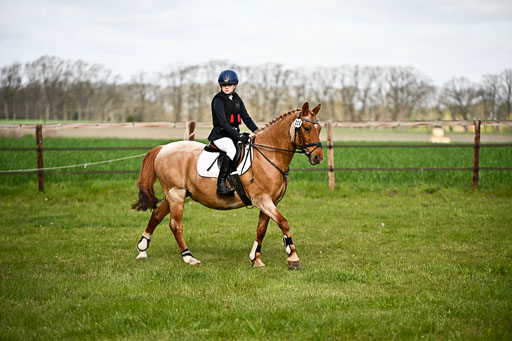  | Springreiter WB _251 
