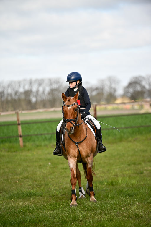  | Springreiter WB _252 