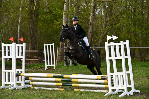  | Springreiter WB _254 