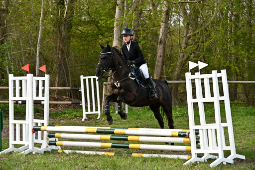  | Springreiter WB _255 