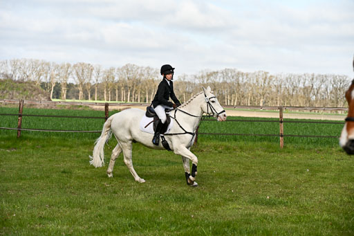  | Springreiter WB _266 