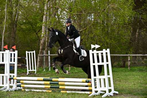  | Springreiter WB _275 