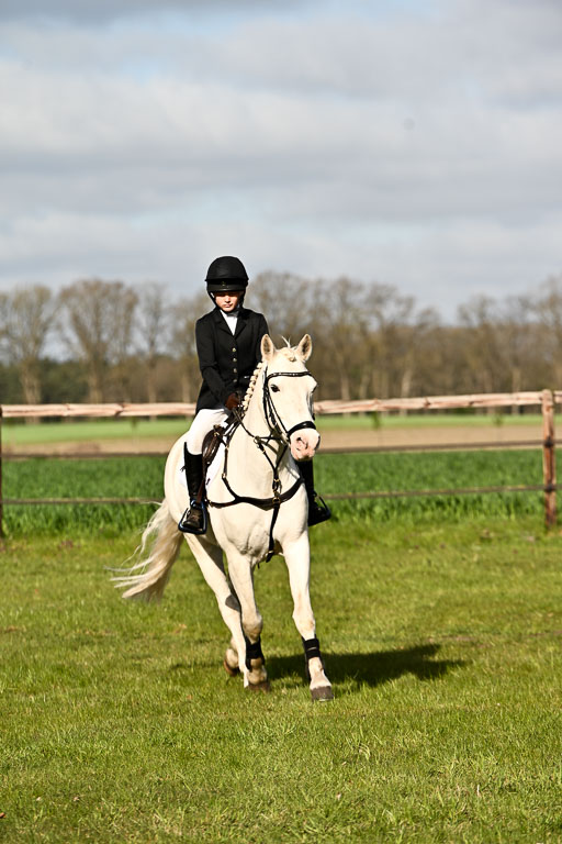  | Springreiter WB _280 
