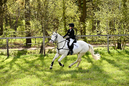  | Springreiter WB _283 