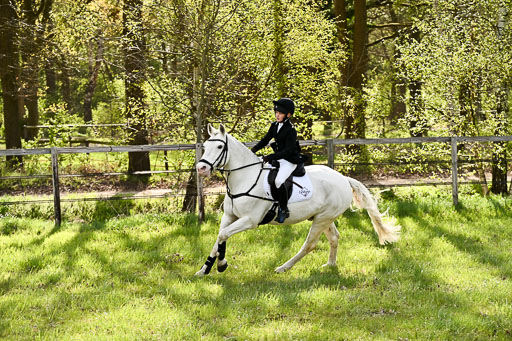  | Springreiter WB _284 