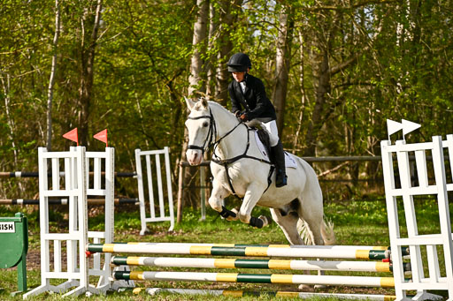  | Springreiter WB _286 