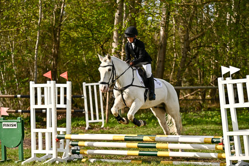  | Springreiter WB _287 