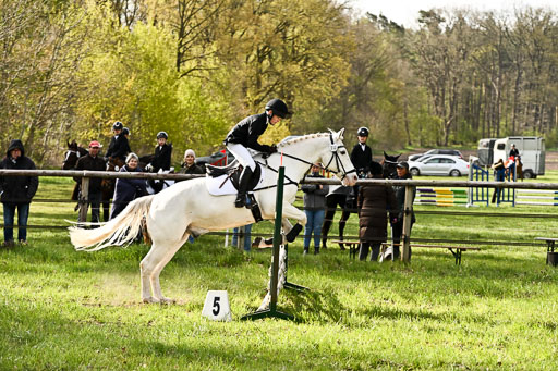  | Springreiter WB _288 