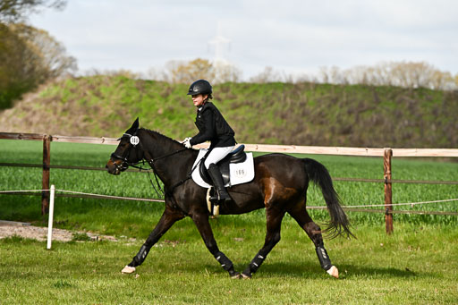  | Springreiter WB _292 