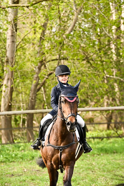  | Springreiter WB _295 