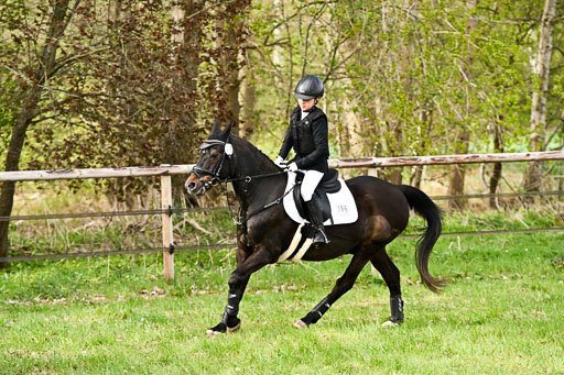  | Springreiter WB _299 