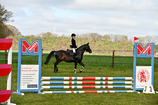  | Springreiter WB _301 