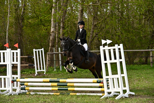 | Springreiter WB _311 