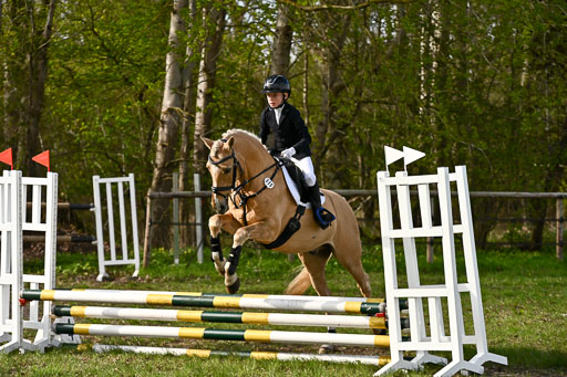  | Springreiter WB _317 