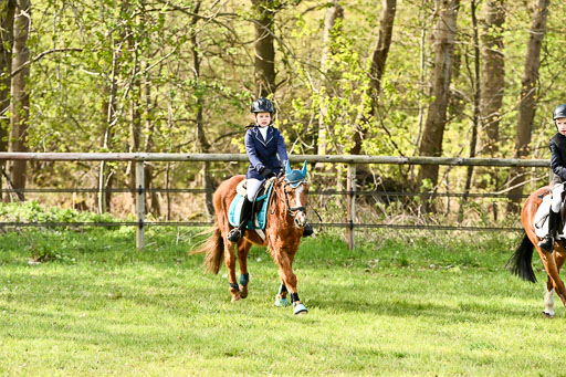  | Springreiter WB _319 