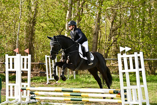  | Springreiter WB _331 