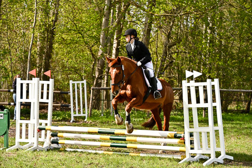  | Springreiter WB _366 