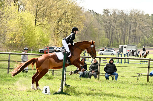  | Springreiter WB _367 