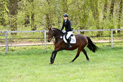  | Springreiter WB _368 