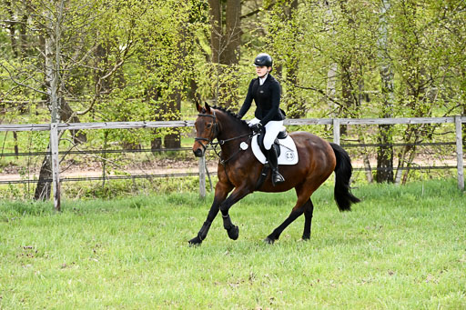  | Springreiter WB _369 
