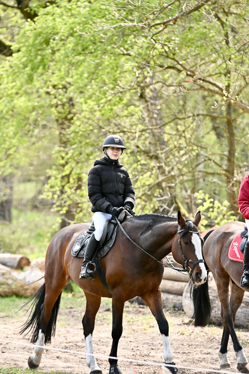  | 25042025 Stil Gelände E _004 
