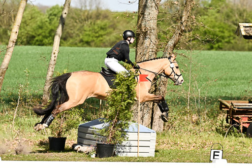  | 25042025 Stil Gelände E _039 