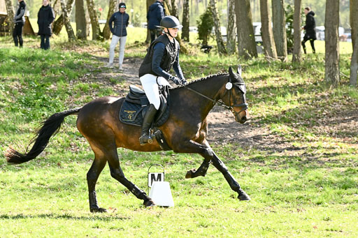 | 25042025 Stil Gelände E _050 