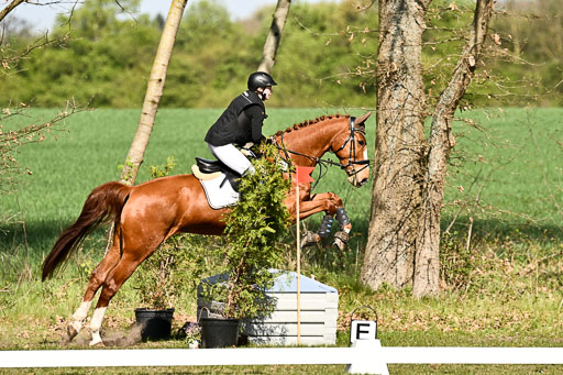  | 25042025 Stil Gelände E _056 