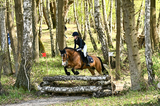  | 25042025 Stil Gelände E _077 